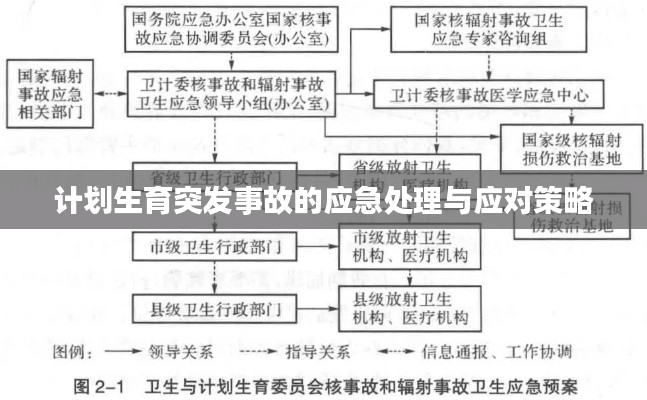 计划生育突发事故的应急处理与应对策略