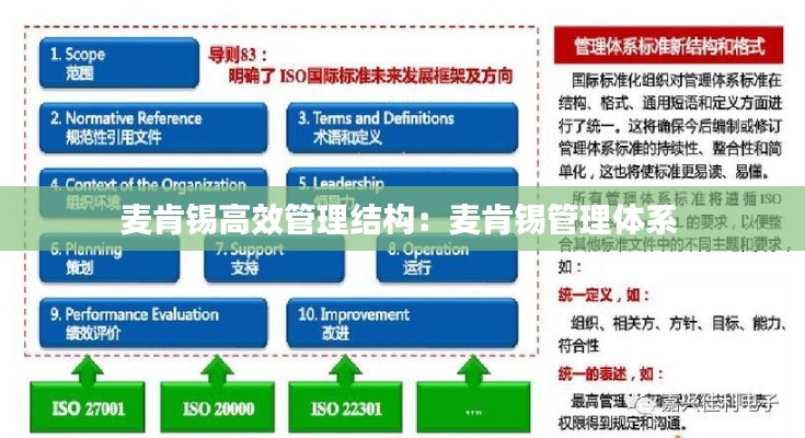 麦肯锡高效管理结构：麦肯锡管理体系 
