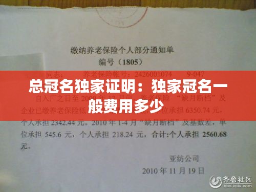 总冠名独家证明：独家冠名一般费用多少 
