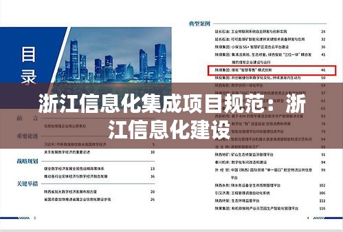 浙江信息化集成项目规范：浙江信息化建设 