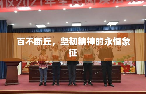 百不断丘，坚韧精神的永恒象征