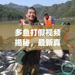 多鱼打假视频揭秘，最新真实案例深度剖析
