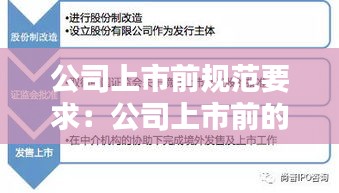 公司上市前规范要求：公司上市前的流程 