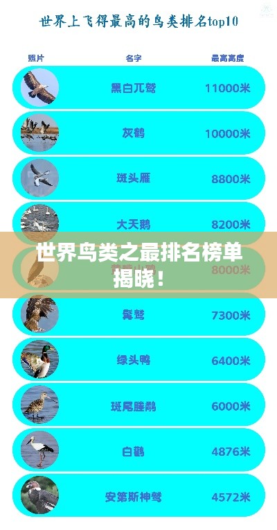 世界鸟类之最排名榜单揭晓！