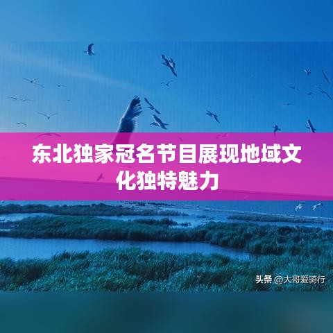 千辛万苦 第2页