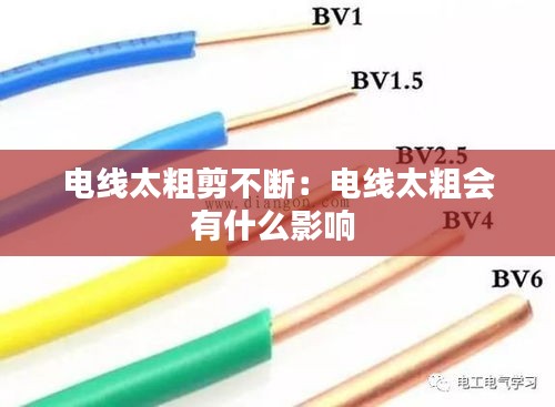 电线太粗剪不断：电线太粗会有什么影响 