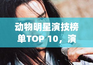 动物明星演技榜单TOP 10，演技炸裂的动物演员盘点
