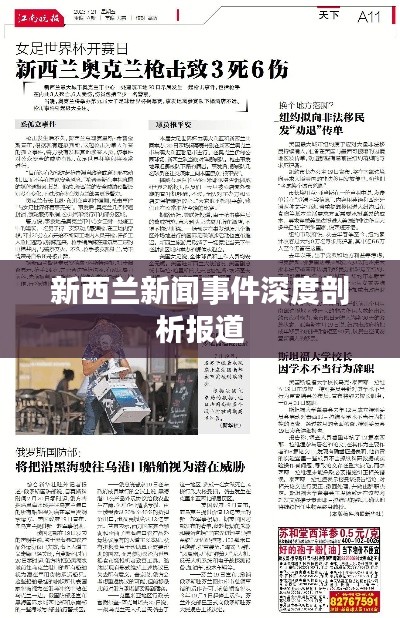 新西兰新闻事件深度剖析报道