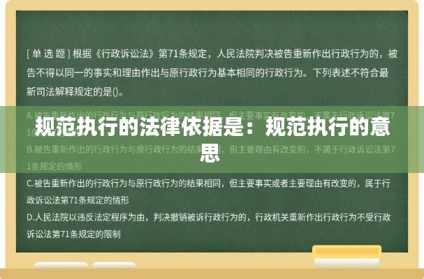 规范执行的法律依据是：规范执行的意思 