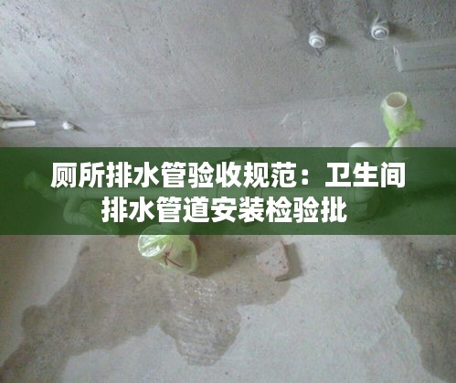 厕所排水管验收规范：卫生间排水管道安装检验批 