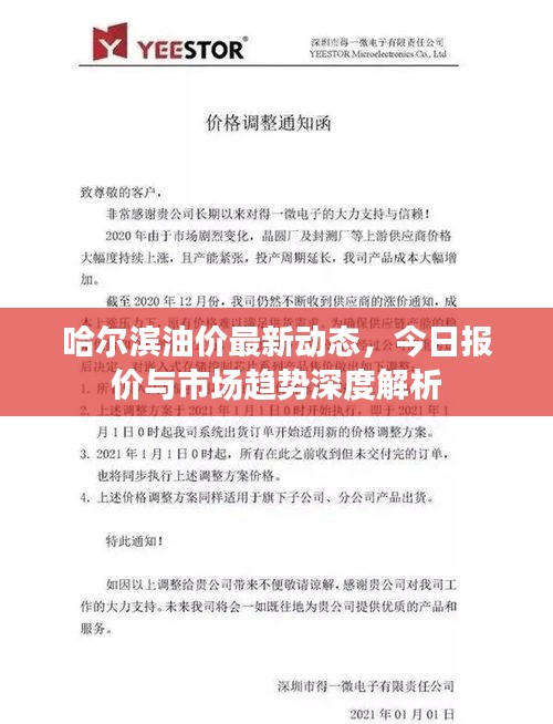 哈尔滨油价最新动态，今日报价与市场趋势深度解析