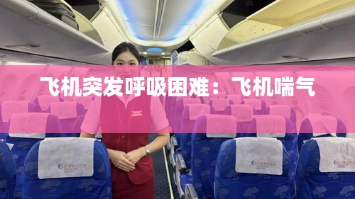 飞机突发呼吸困难：飞机喘气 
