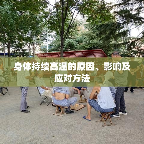 身体持续高温的原因、影响及应对方法