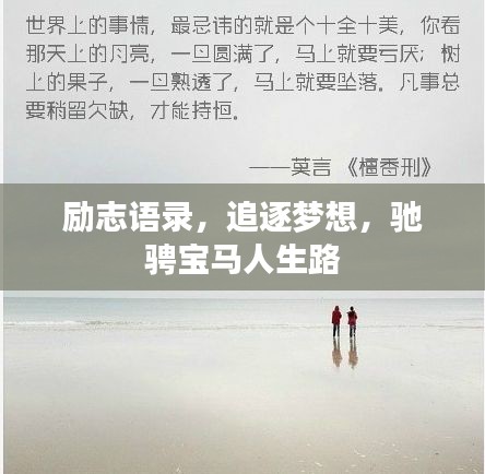 飞燕化龙 第2页