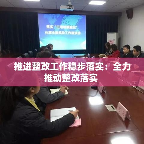 推进整改工作稳步落实：全力推动整改落实 
