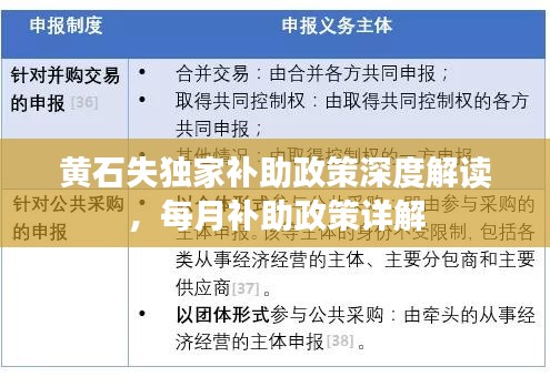 黄石失独家补助政策深度解读，每月补助政策详解