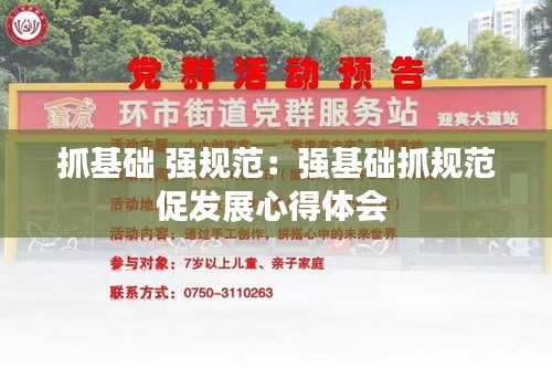 抓基础 强规范：强基础抓规范促发展心得体会 
