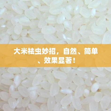 大米祛虫妙招，自然、简单、效果显著！