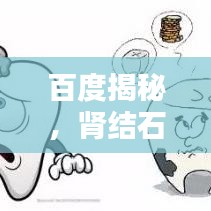 百度揭秘，肾结石深度解析与探讨