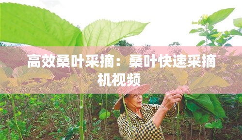 艰苦卓绝 第2页