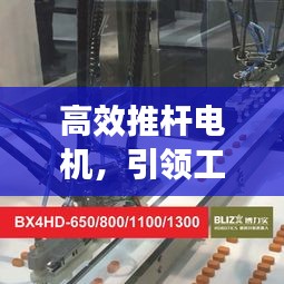 张皇无措 第2页