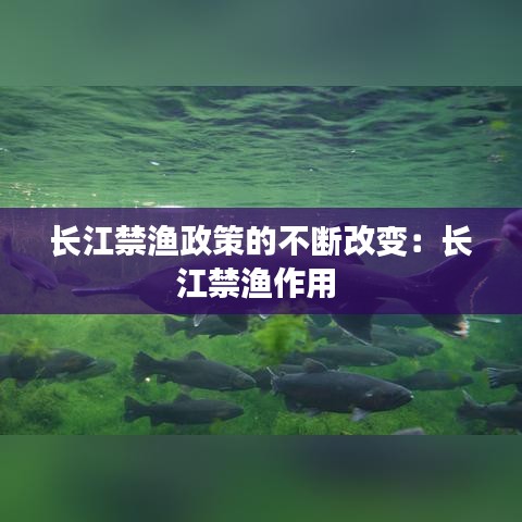 长江禁渔政策的不断改变：长江禁渔作用 
