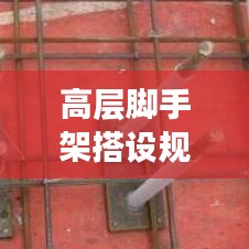 虫言鸟迹 第2页