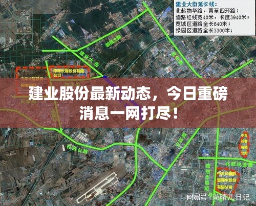 建业股份最新动态，今日重磅消息一网打尽！