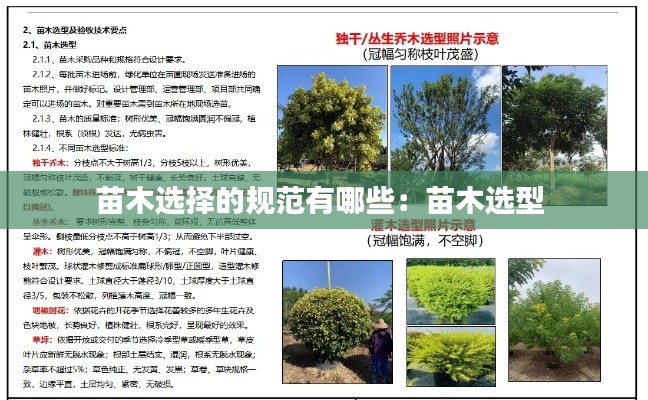 口若悬河 第2页