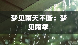 梦见雨天不断：梦见雨季 