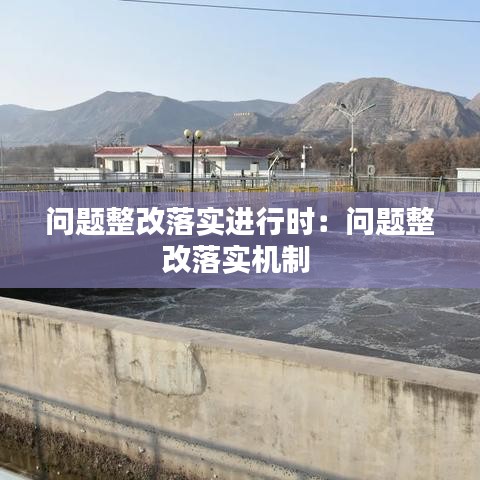 问题整改落实进行时：问题整改落实机制 