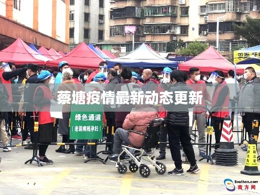 蔡塘疫情最新动态更新