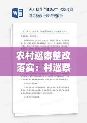 农村巡察整改落实：村巡察整改工作总结 