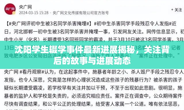 沈阳学生辍学事件最新进展揭秘，关注背后的故事与进展动态