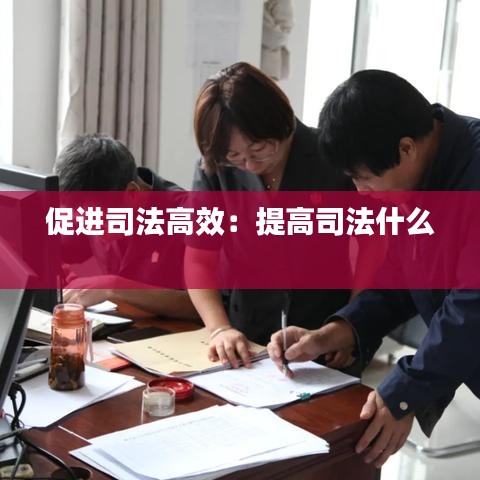 促进司法高效：提高司法什么 