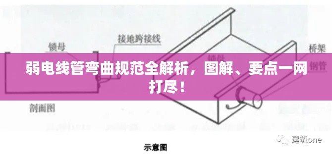 niaorufanlong 第2页