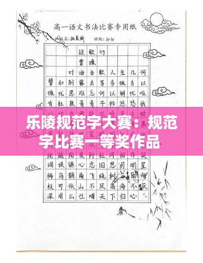 乐陵规范字大赛：规范字比赛一等奖作品 