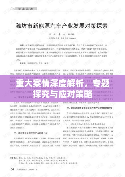 重大案情深度解析，专题探究与应对策略