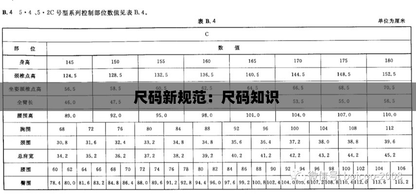 尺码新规范：尺码知识 