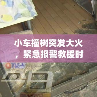 小车撞树突发大火，紧急报警救援时刻