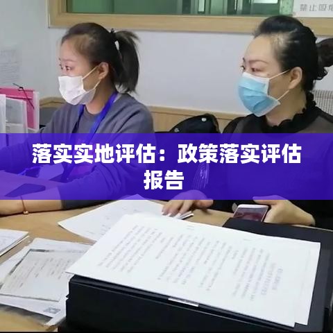 落实实地评估：政策落实评估报告 