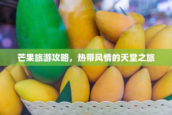 差强人意 第2页