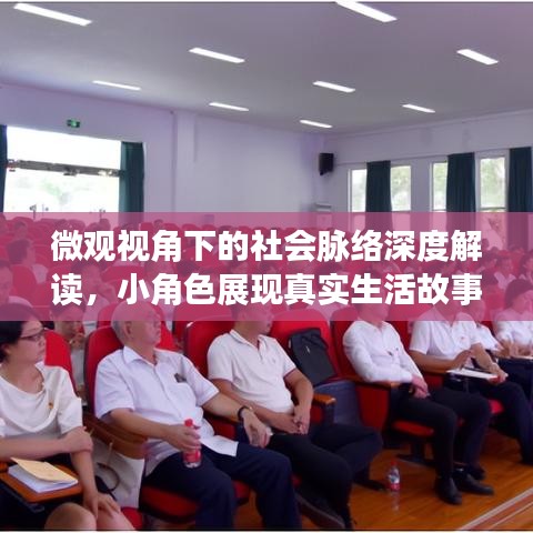 微观视角下的社会脉络深度解读，小角色展现真实生活故事