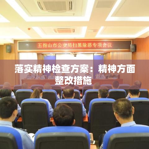 落实精神检查方案：精神方面整改措施 