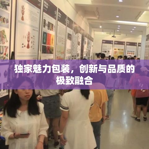 独家魅力包装，创新与品质的极致融合