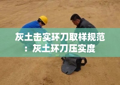 七上八下 第2页