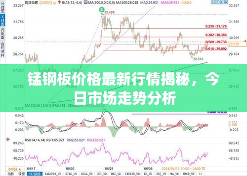 锰钢板价格最新行情揭秘，今日市场走势分析
