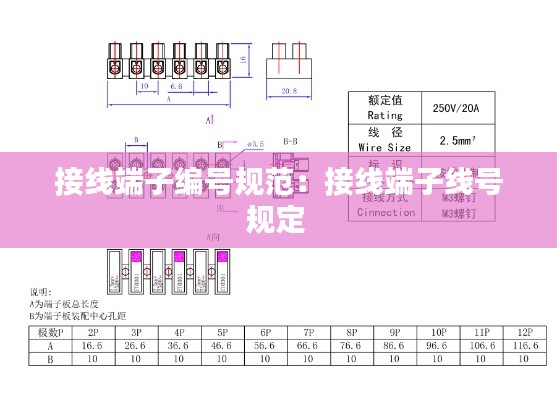 接线端子编号规范：接线端子线号规定 