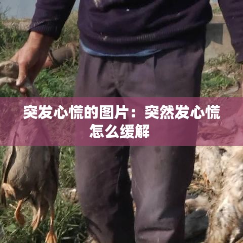 突发心慌的图片：突然发心慌怎么缓解 