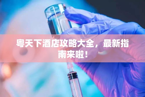 粤天下酒店攻略大全，最新指南来啦！